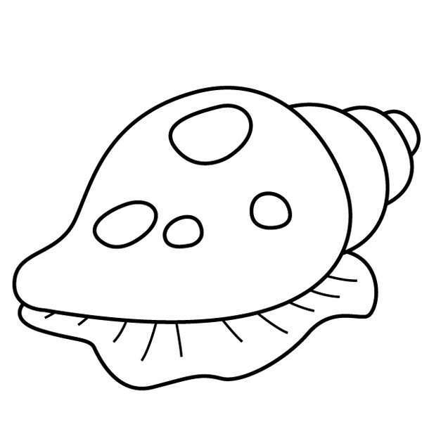 Shells Colouring - ClipArt Best