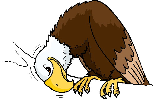 Cartoon Eagles