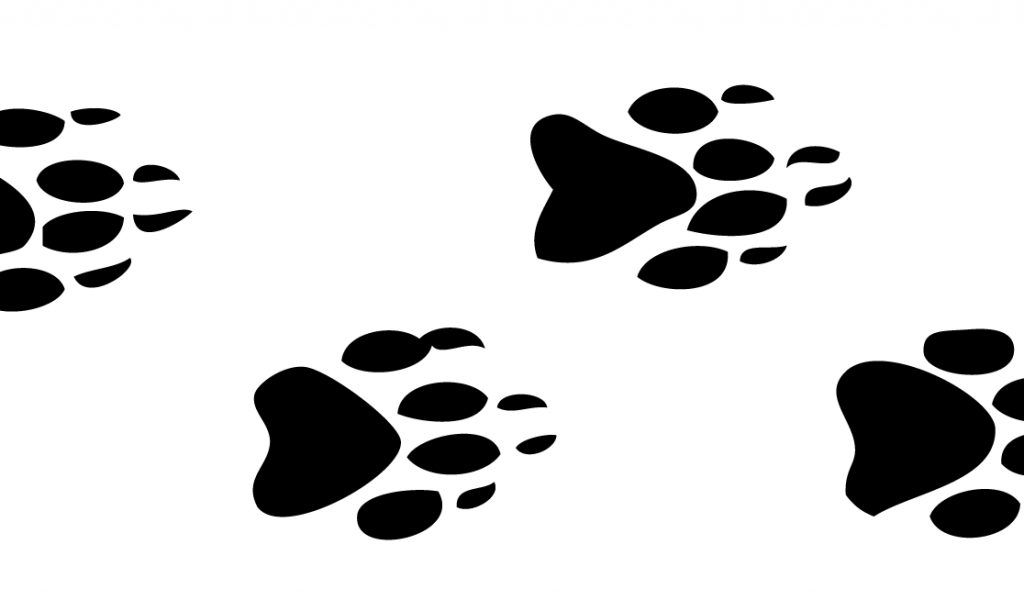 Clipart animal footprints - ClipartFox