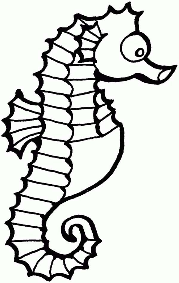 Sea Horse Coloring Pages : Coloring - Kids Coloring Pages