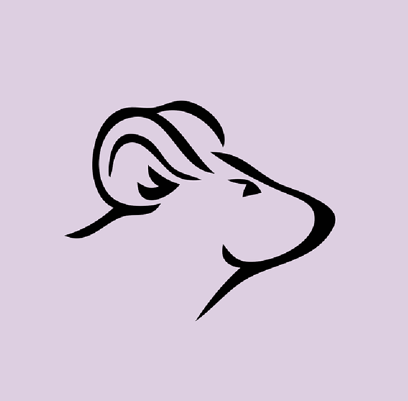 ANIMALS, HEAD, OUTLINE, CARTOON, RAT, FREE, CUTE - Public Domain ...