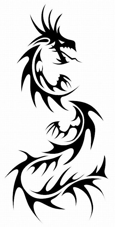 Tribal Dragon Tattoos | Dragon ...