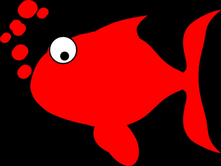 clip art red fish - photo #50