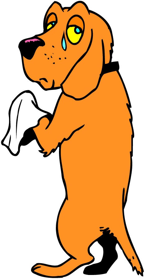 Sad Dog Cartoon Dog Sad