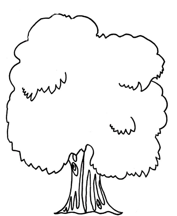 1000+ images about trees coloring pages