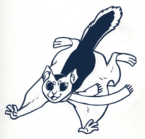Flying Squirrel Cartoon - ClipArt Best