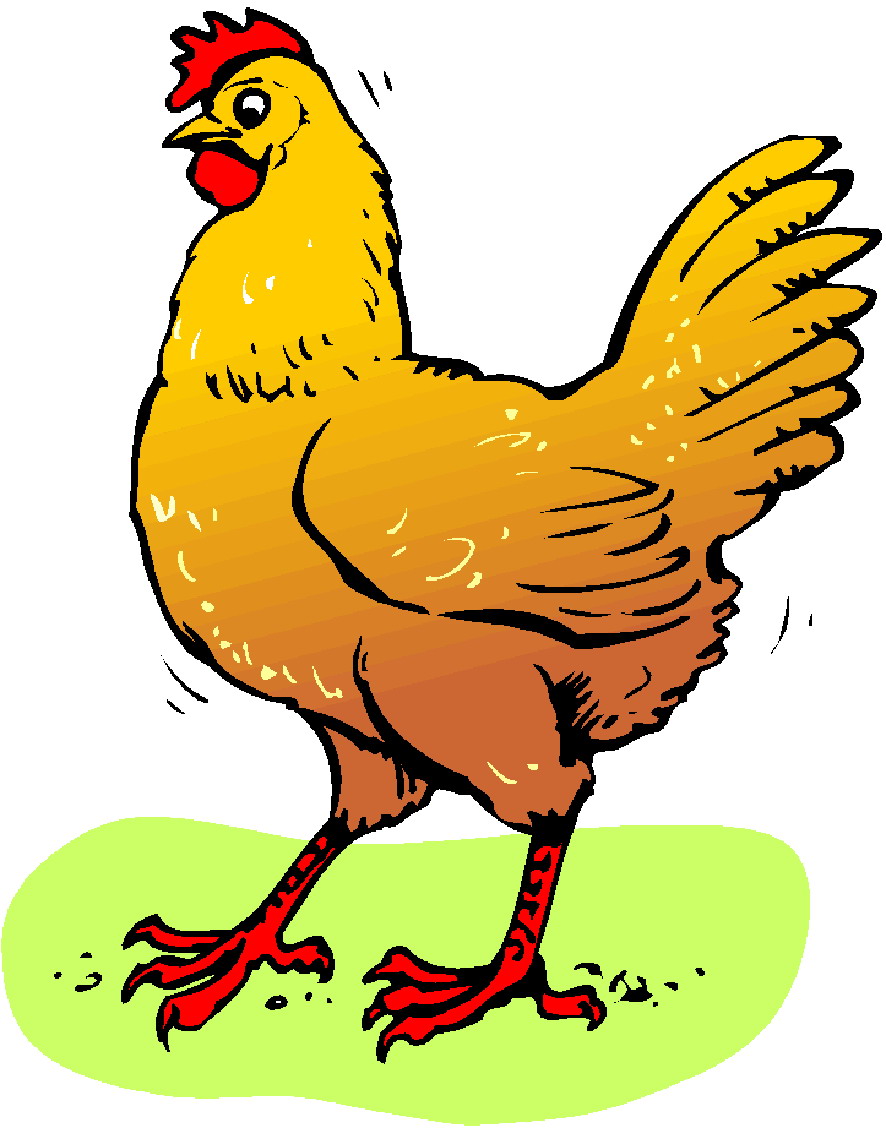 yellow chicken clip art - photo #24