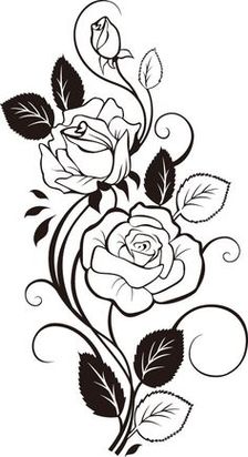 Rose Vine Drawing Designs Clipart - Free to use Clip Art Resource