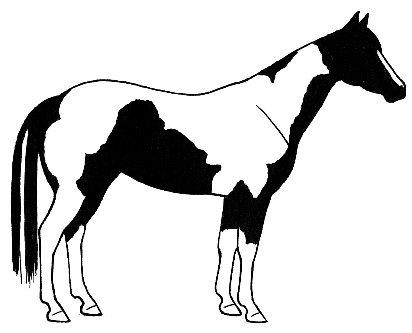 Paint horse head clipart