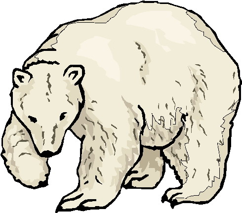 Polar Bear Clip Art - ClipArt Best