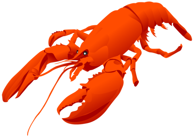 Animals Clipart Lobster Clipart Gallery ~ Free Clipart Images