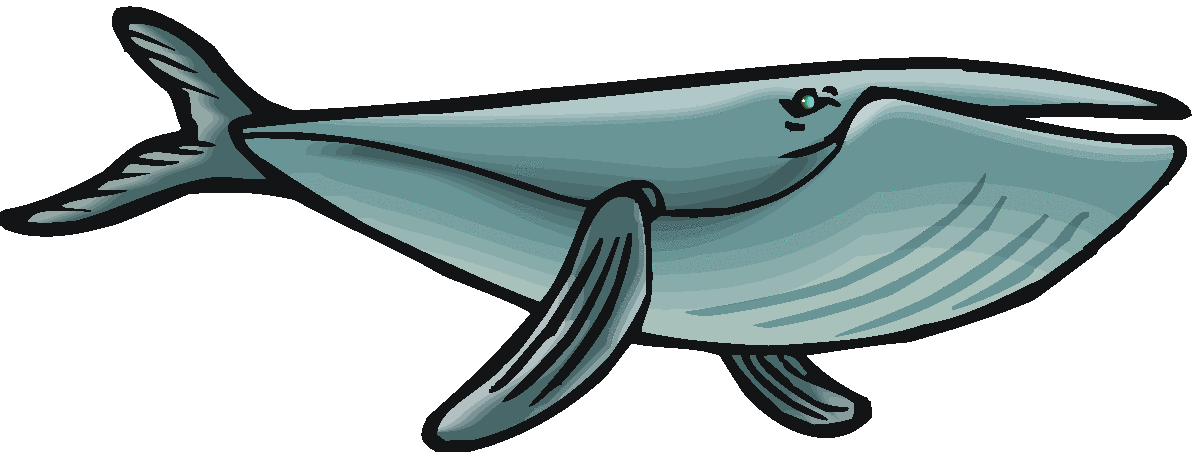 Pic Of A Whale | Free Download Clip Art | Free Clip Art | on ...