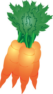 Carrots Clipart Image - Clipart Illustration of Carrots