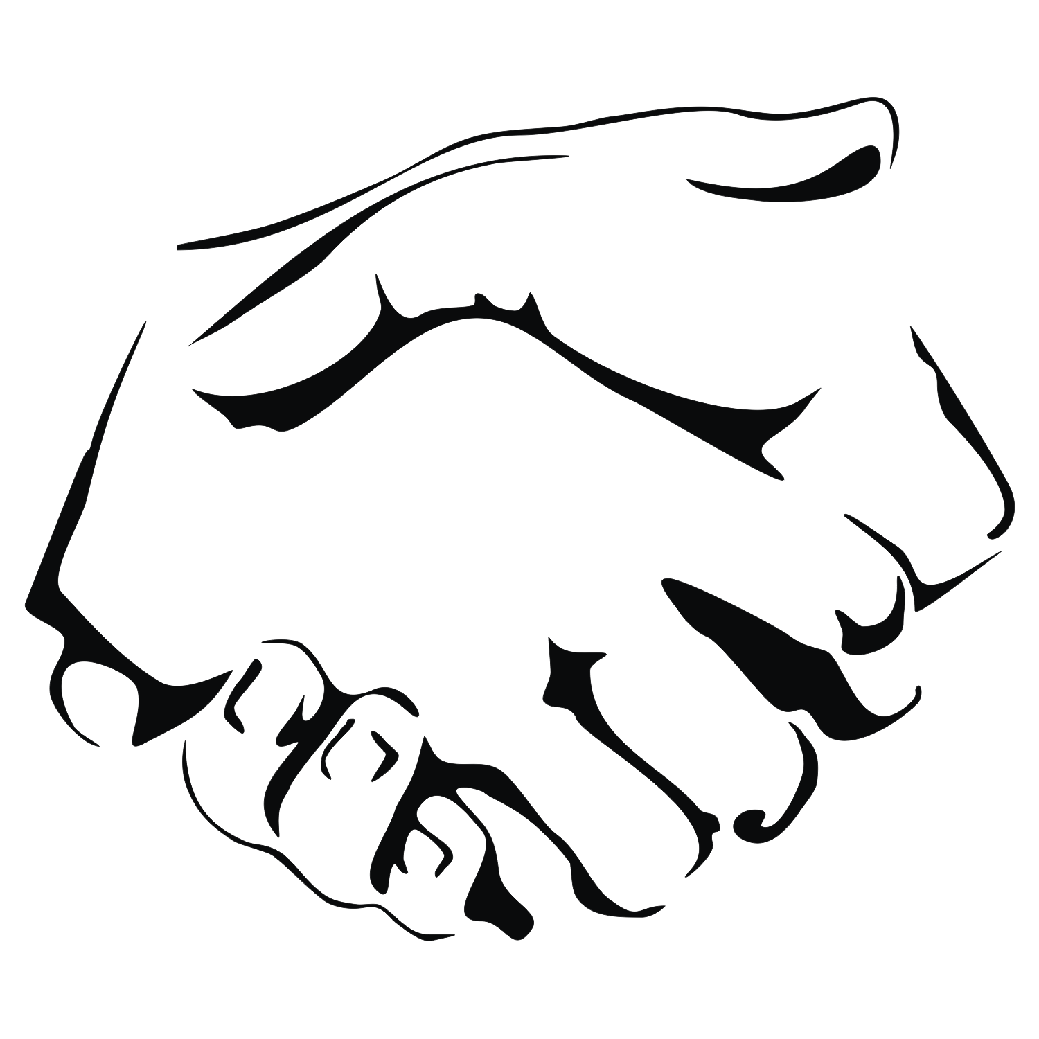 Pictures Of Hand Shake
