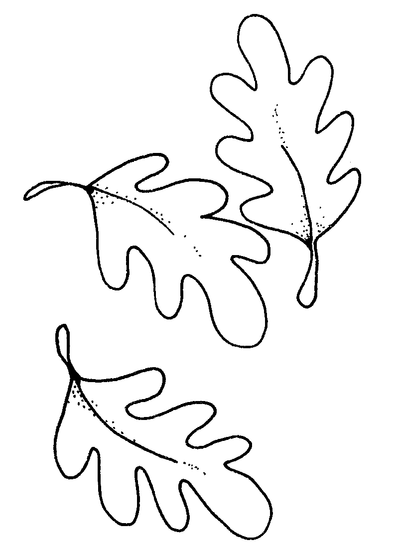 clip art oak leaf outline - photo #16
