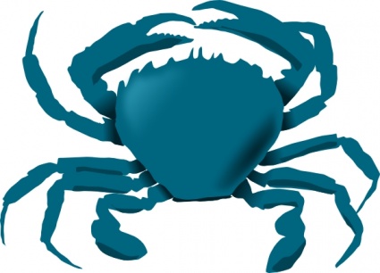 Sea Anemone and Hermit Crab Vector - Download 866 Vectors (Page 1)