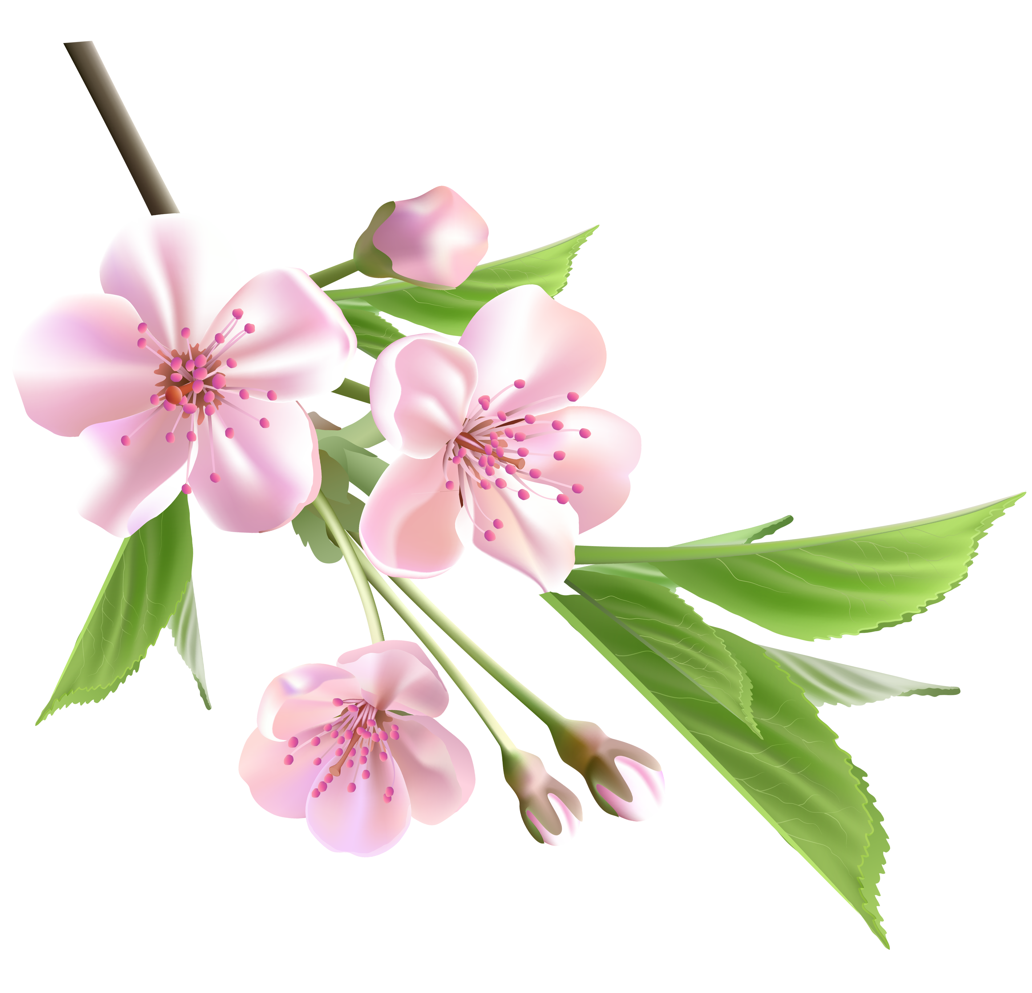 clipart of spring flowers - photo #20