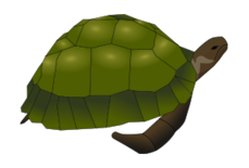 Turtle Vector - Download 62 Silhouettes (Page 1)