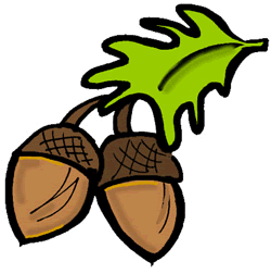 Pictures Of Acorns - ClipArt Best