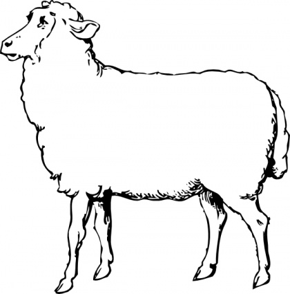 Download Sheep clip art Vector Free