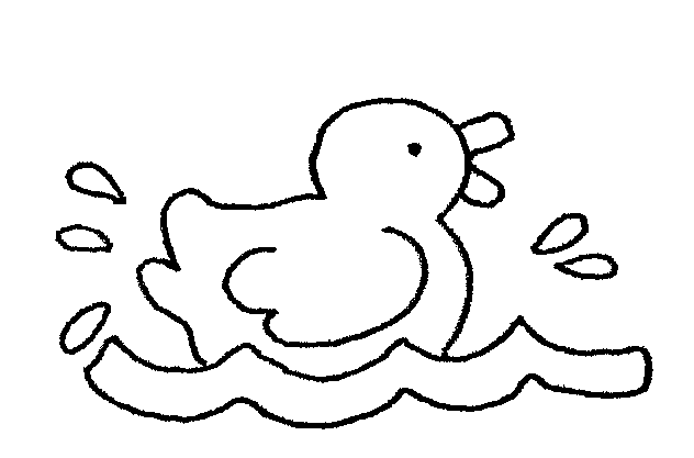 Duck Swimming | Mormon Share