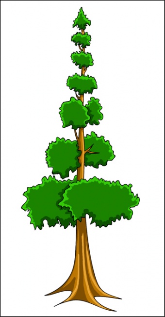 1 (Cartoon Trees)