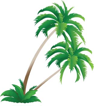 Palm tree 4 vector, free vectors