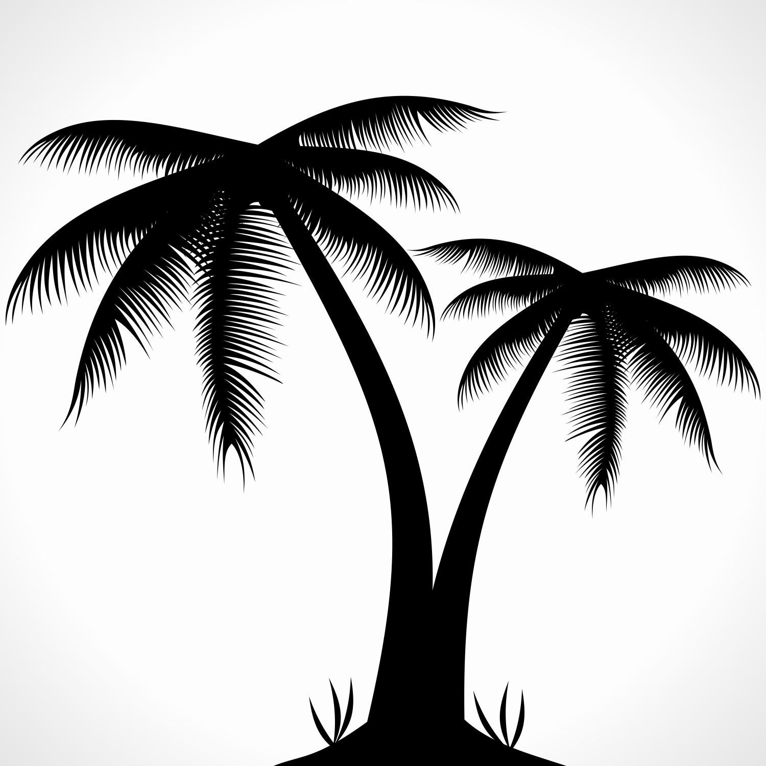 Vector for free use: Palm tree silhouette