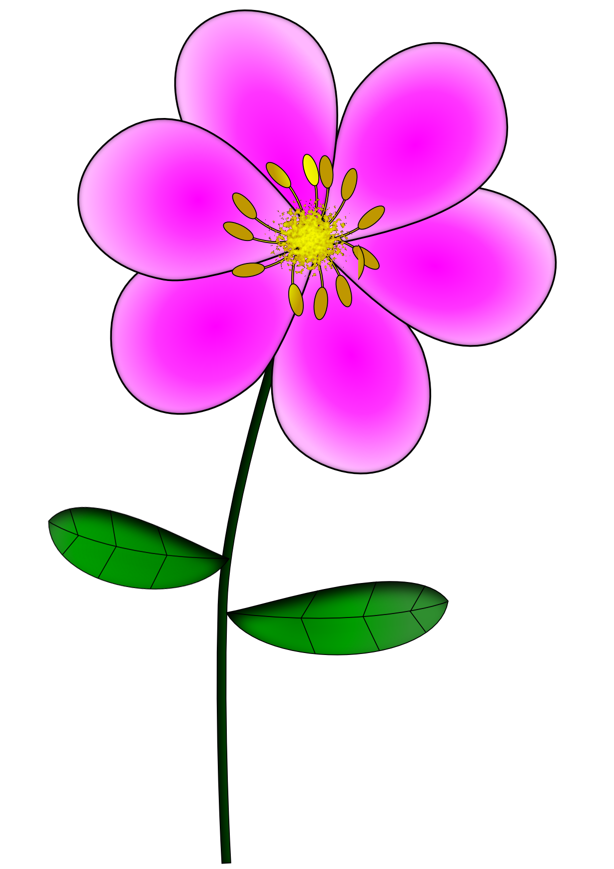 clipart pics of flowers - photo #50