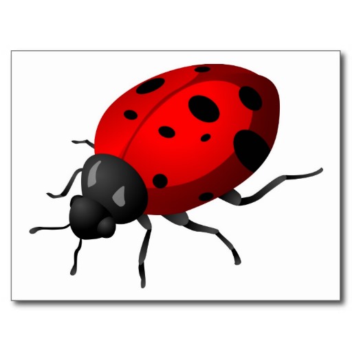 Insect Cartoon - ClipArt Best