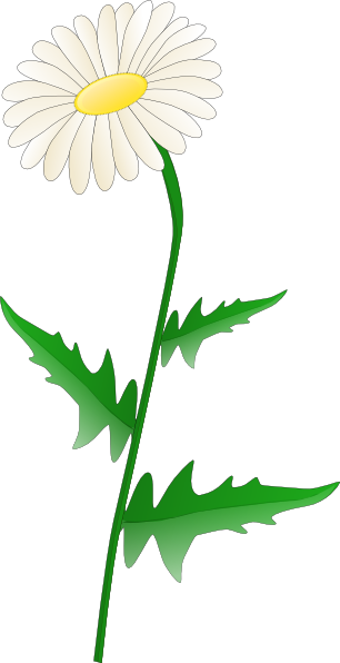 Daisy Cartoon Flower - ClipArt Best