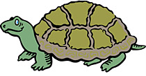 clipart_turtle.jpg