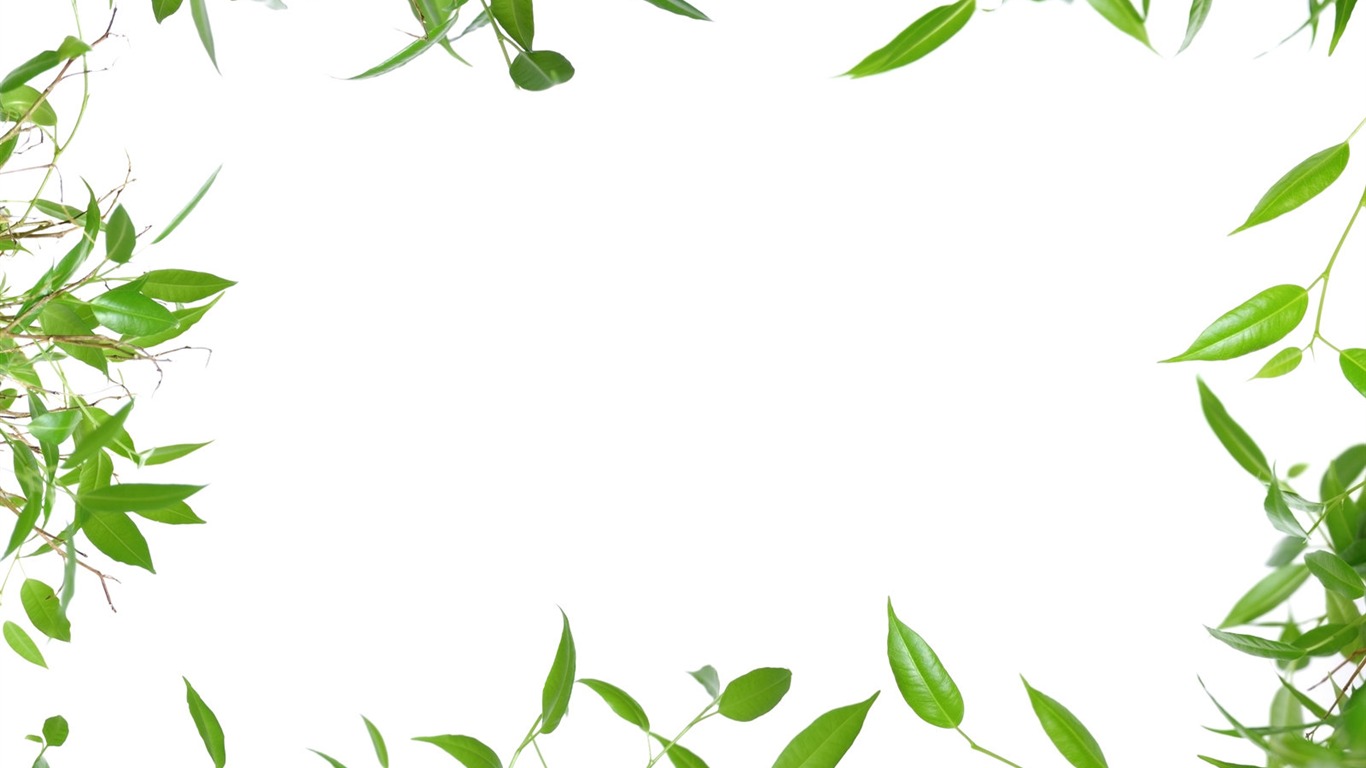 free clip art borders leaves - photo #15