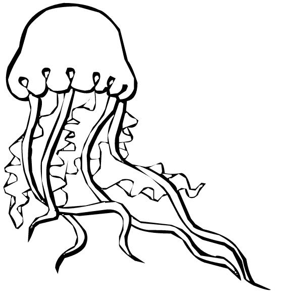 Jellyfish coloring page - Animals Town - animals color sheet ...