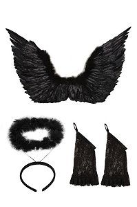 Feathers, Wings and Dark