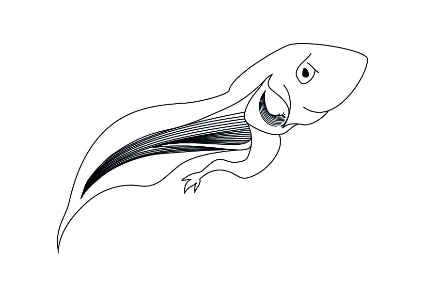 tadpole coloring pages - photo #40