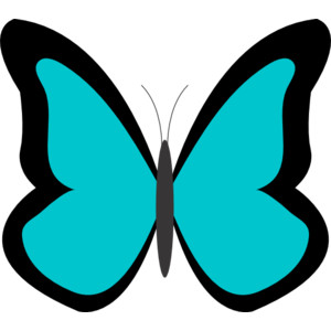 Butterflies - Polyvore