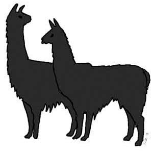 Quality Llama and Alpaca Products - Alternative Livestock Supply
