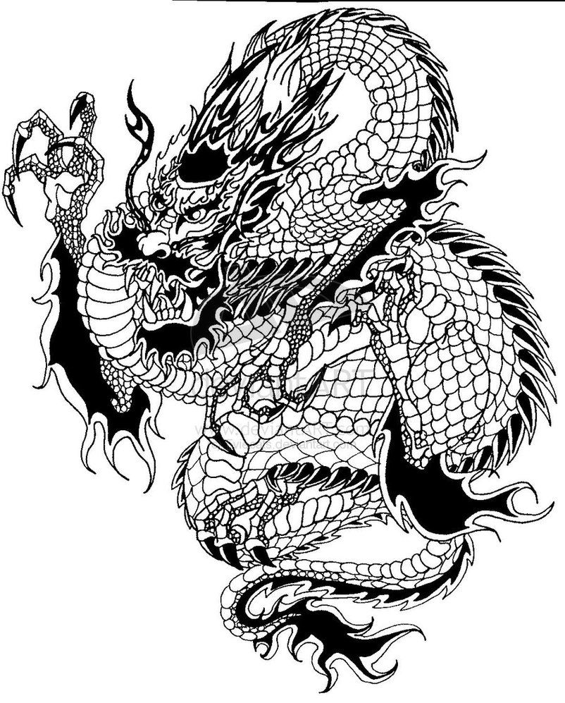 Chinese Dragon By Eviecats On Deviantart - Free Download Tattoo ...
