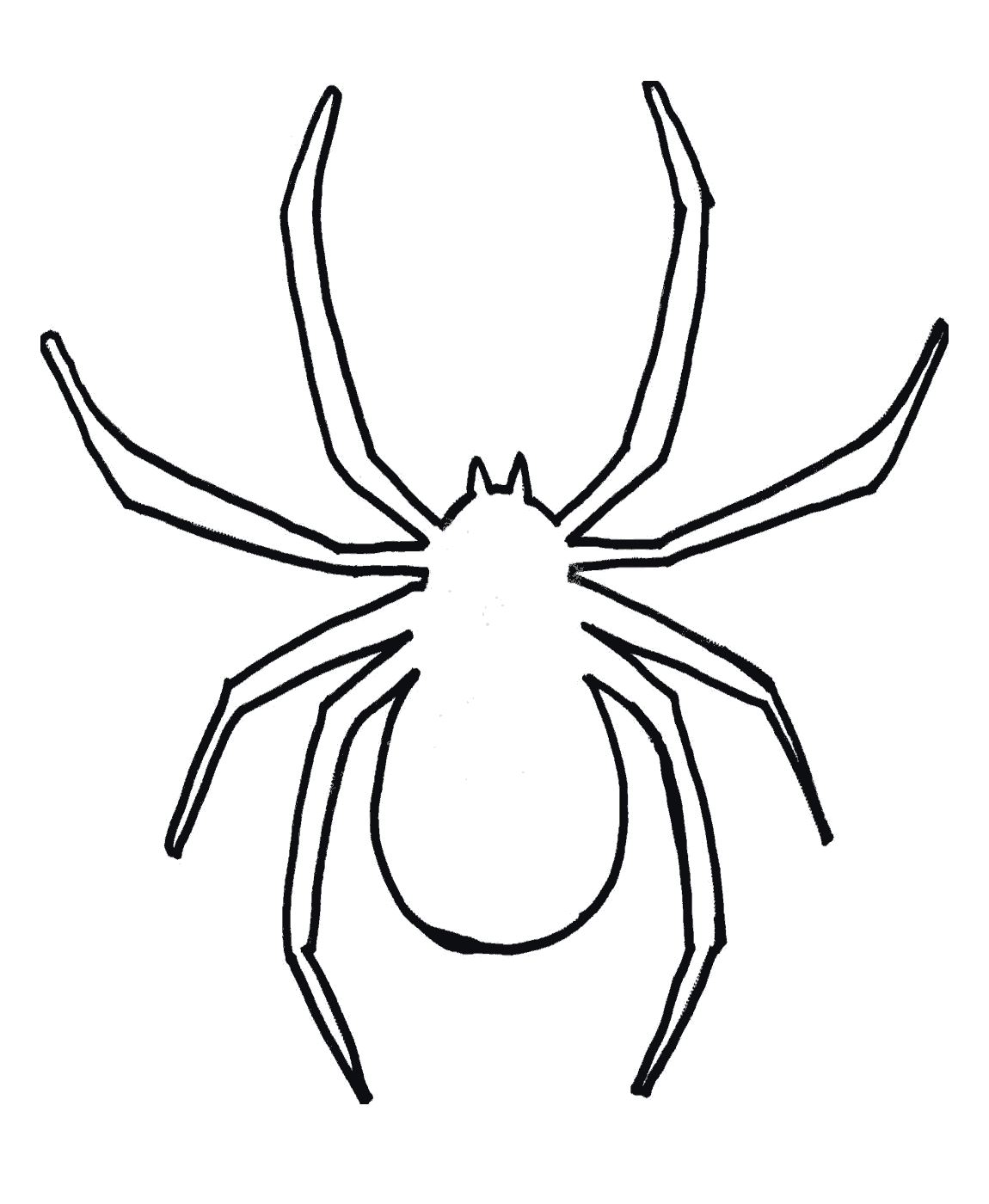 spider-outline-drawing-clipart-best
