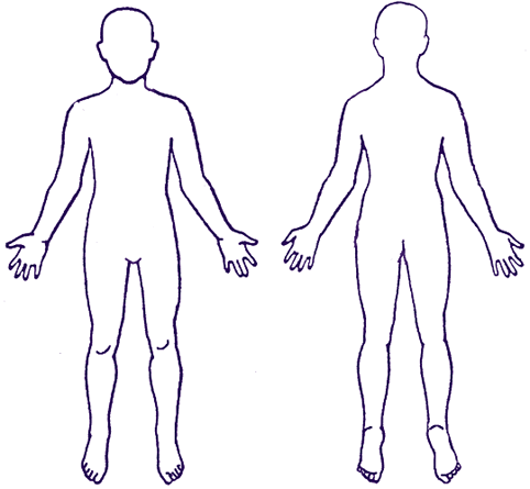 Outline Of Female Body