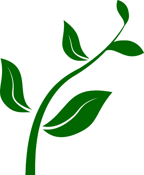 Growing Plant clip art - vector clip art online, royalty free ...