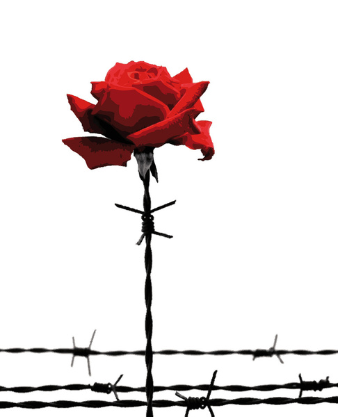 Barbed wire red rose Art Print by Mendelsign | Society6