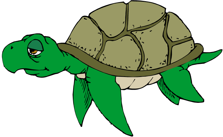 Turtle art clipart - dbclipart.com