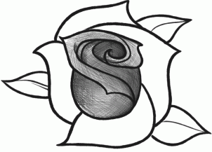How to Sketch a Rose, Step by Step, Sketch, Drawing Technique ...