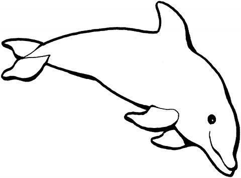 Dolphin clipart outline
