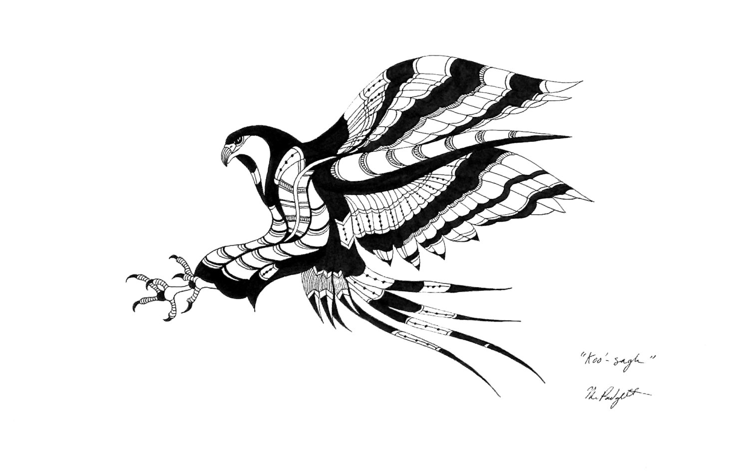 Bird Art, Black and White Hawk Drawing, Pen and Ink Seahawk ...