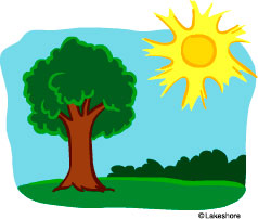Summer Tree Clipart - Free Clipart Images