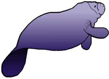 Manatee Clip Art Free - Free Clipart Images