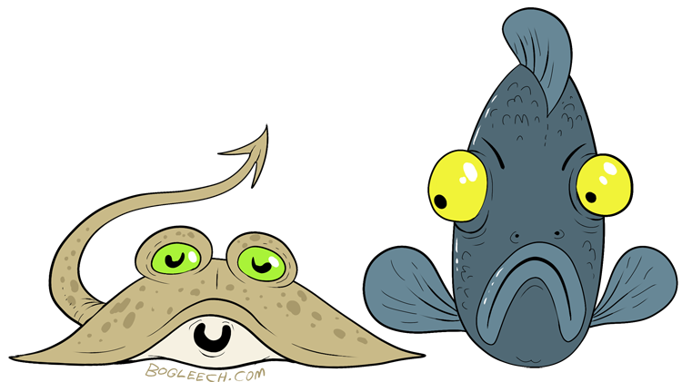 clipart australian animals - photo #33